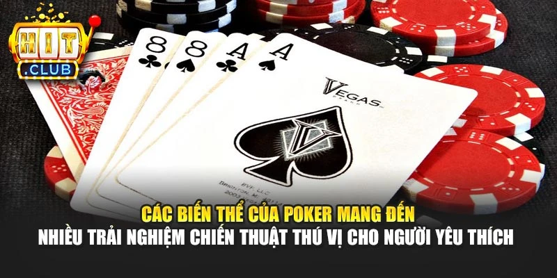 Các biến thể của Poker mang đến nhiều trải nghiệm chiến thuật thú vị cho người yêu thích 