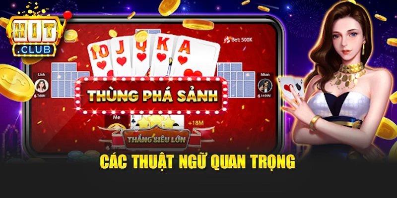 Các thuật ngữ quan trọng