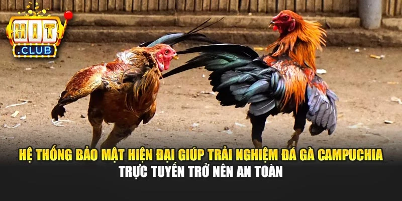 Hệ thống bảo mật hiện đại giúp trải nghiệm đá gà Campuchia trực tuyến trở nên an toàn