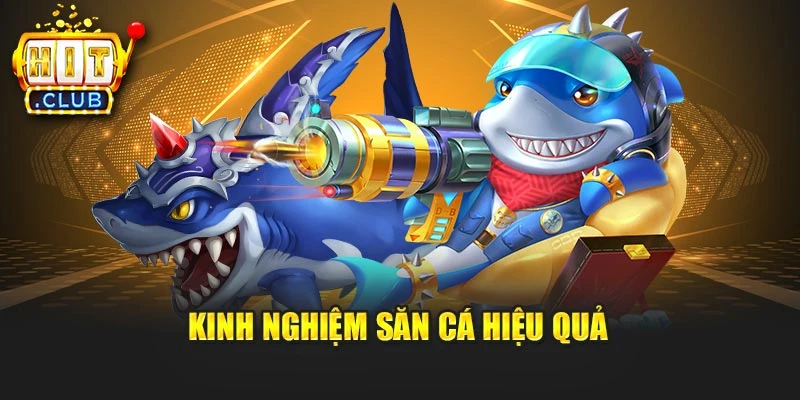 Kinh nghiệm săn cá hiệu quả