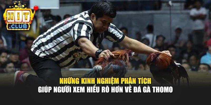 Những kinh nghiệm phân tích giúp người xem hiểu rõ hơn về đá gà Thomo