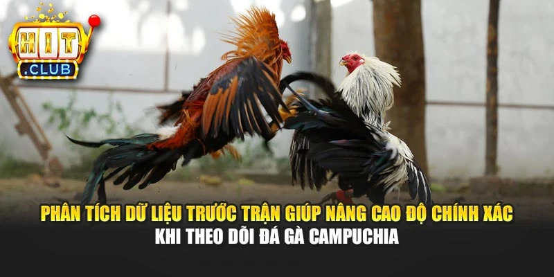 Phân tích dữ liệu trước trận giúp nâng cao độ chính xác khi theo dõi đá gà Campuchia