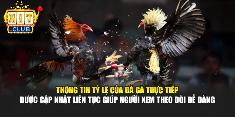 Thông tin tỷ lệ của đá gà trực tiếp được cập nhật liên tục giúp người xem theo dõi dễ dàng