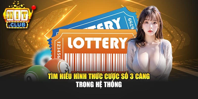 Tìm hiểu hình thức cược số 3 càng trong hệ thống